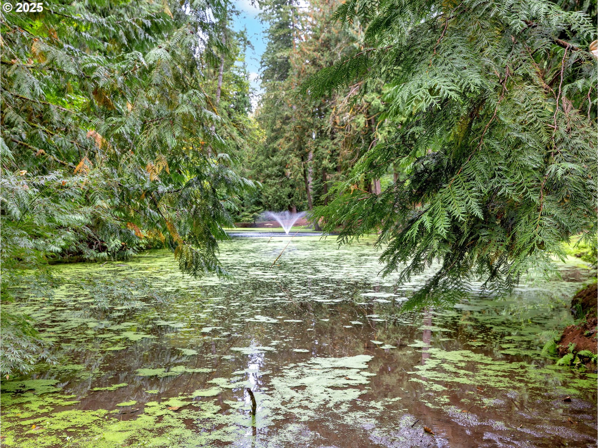 32700 Southeast Leewood Lane, Unit 108 Boring, OR 97009 - Photo 39 of 39