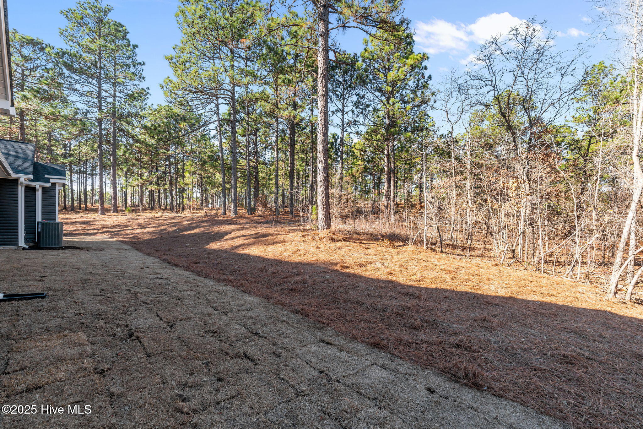 110 Love Grove Church Road West End, NC 27376 - Photo 39 of 44 110 Love Grove Church Road - 5.5+ acres with private pond