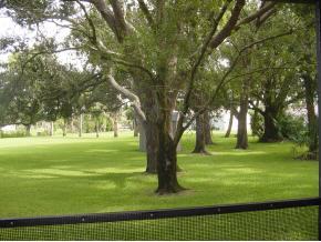 925 Cromey Road Northeast Palm Bay, FL 32905 - Photo 10 of 10 Additional Photo