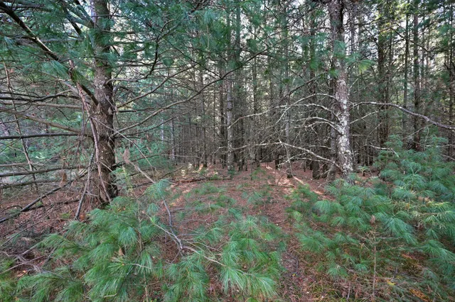 $190,000 | 624 North Pine Street, Grantsburg, WI 54840