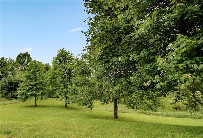 343 Glass Road New Castle, PA 16101 - Photo 5 of 25 Trees surround this 4.39 acres - this is the back yard.