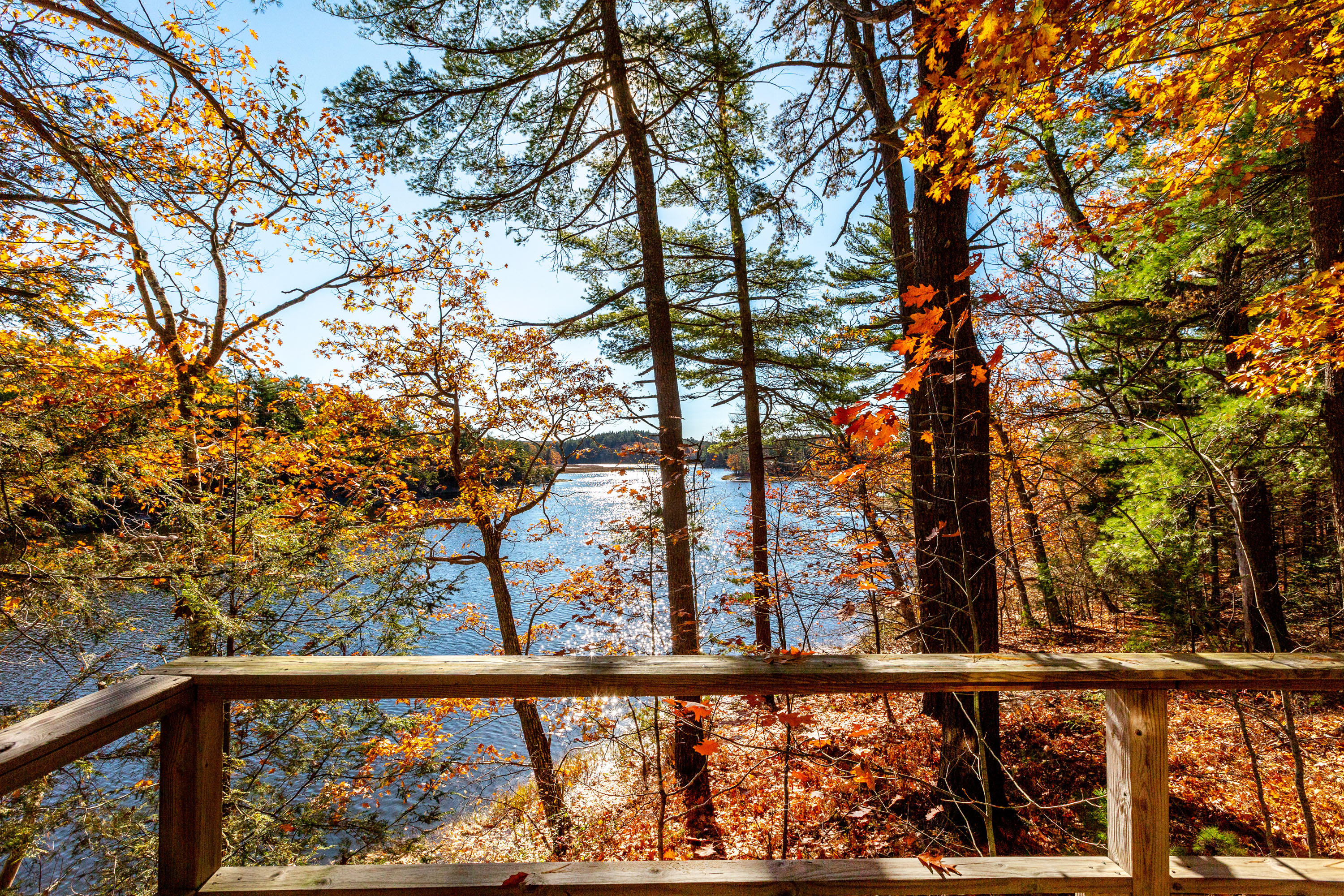 67 Indian Rest Road Bath, ME 04530 - Photo 47 of 66 Indian Rest_Ollier_48