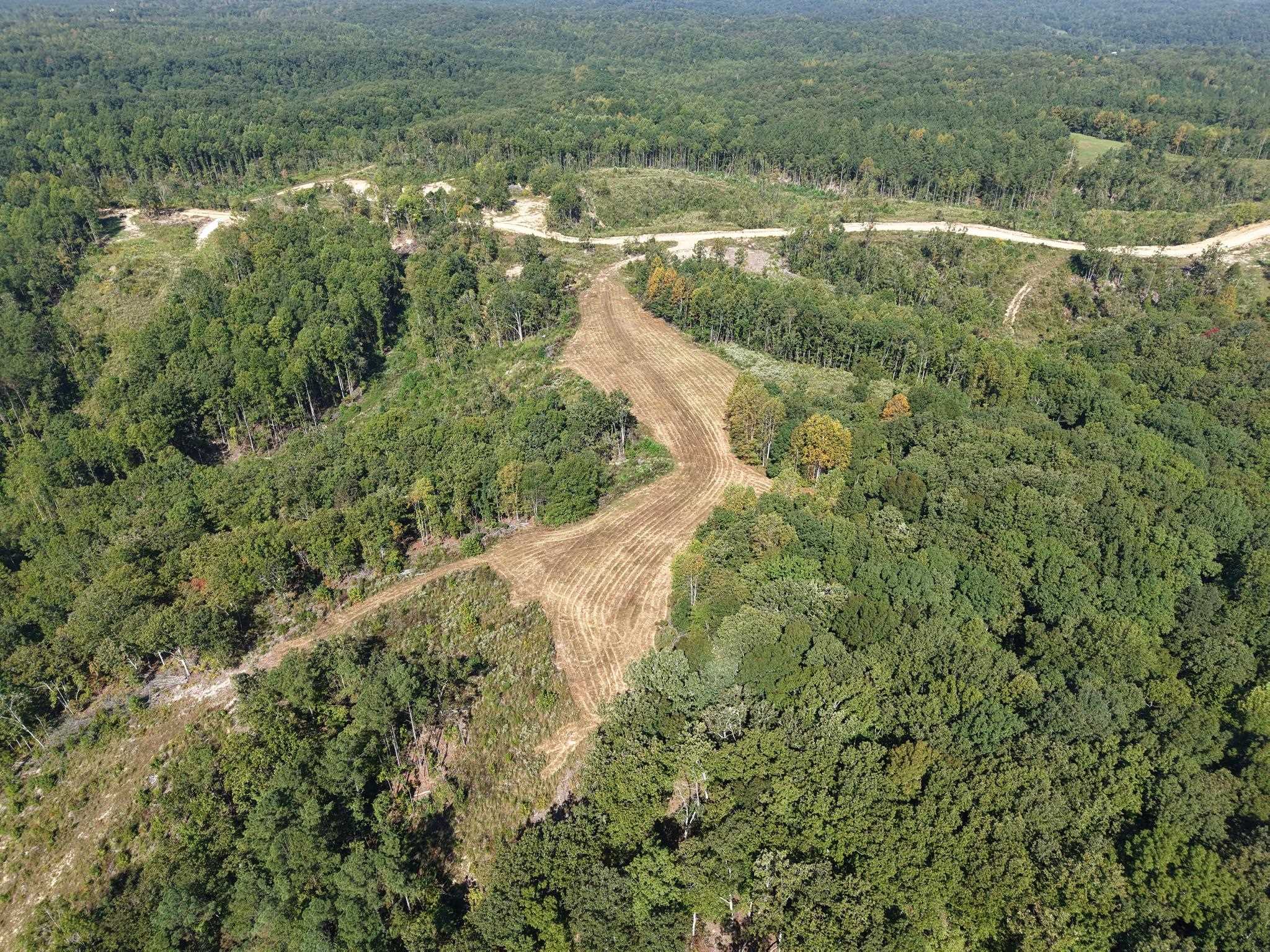 1960 Low Gap Road Sugar Tree, TN 38380 - Photo 1 of 35 Gallery Image 1