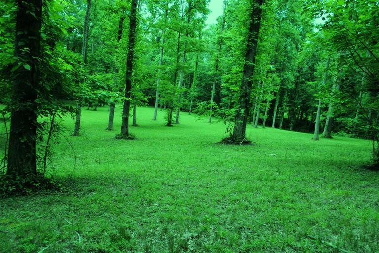 376 Ike Monhollen Road Corbin, KY 40701 - Photo 35 of 41 Photo 35