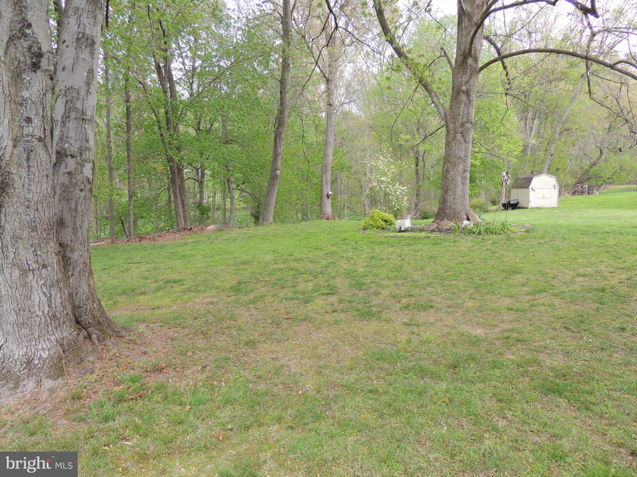 5838 Oklahoma Road Sykesville, MD 21784 - Photo 63 of 72 Serene green space with towering trees.