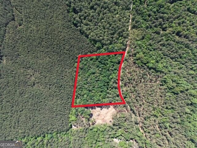 580 Saggus Road Washington, GA 30673 - Photo 4 of 54