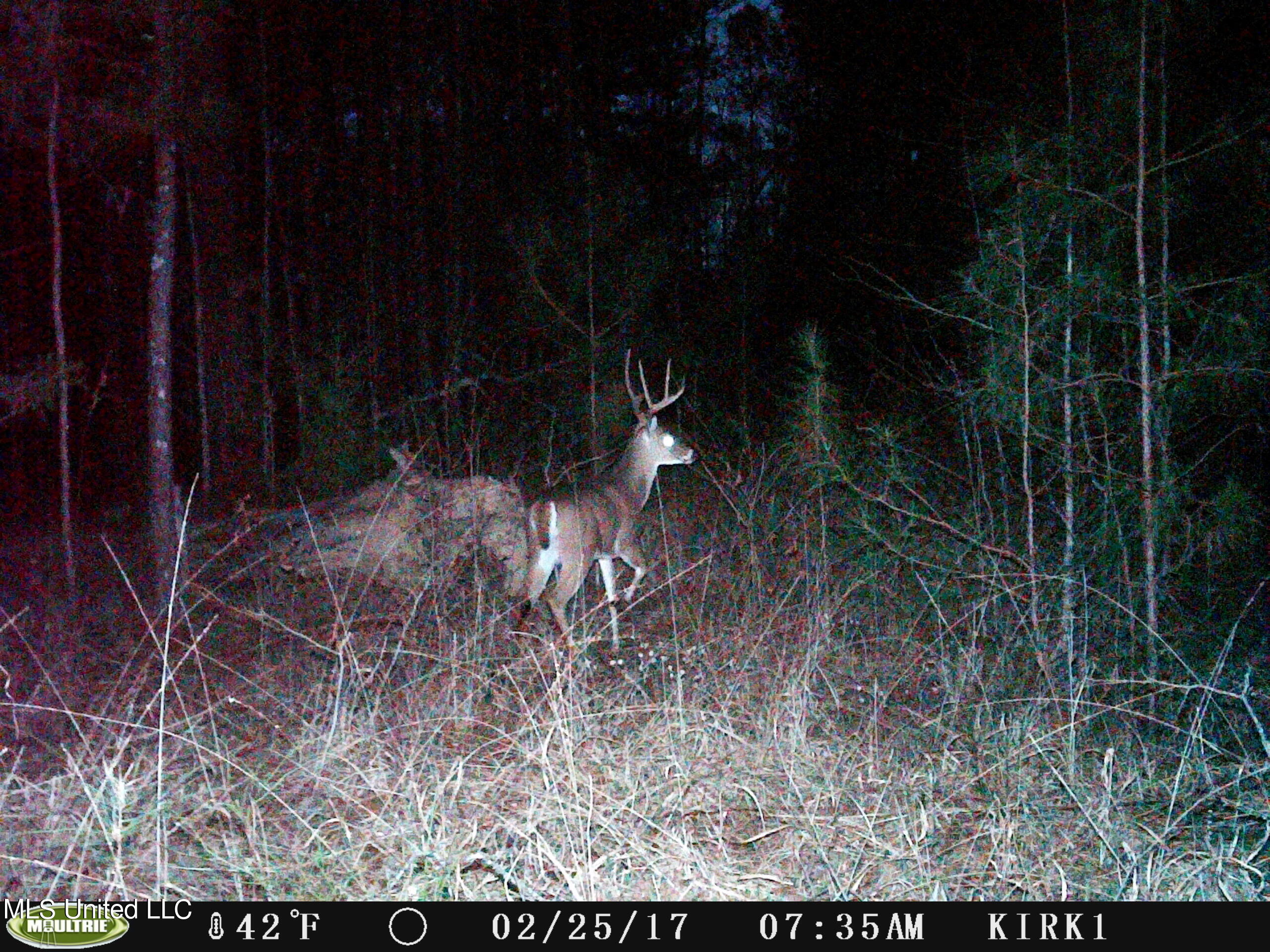 0 Jack Road Utica, MS 39175 - Photo 1 of 25 IMG_0016