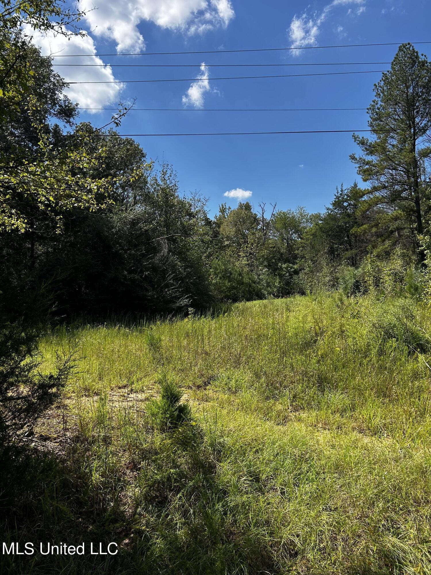 0 Jack Road Utica, MS 39175 - Photo 11 of 25 IMG_1738