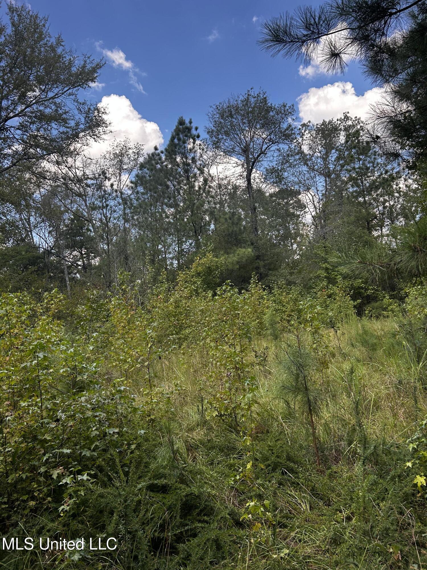 0 Jack Road Utica, MS 39175 - Photo 21 of 25 IMG_1755