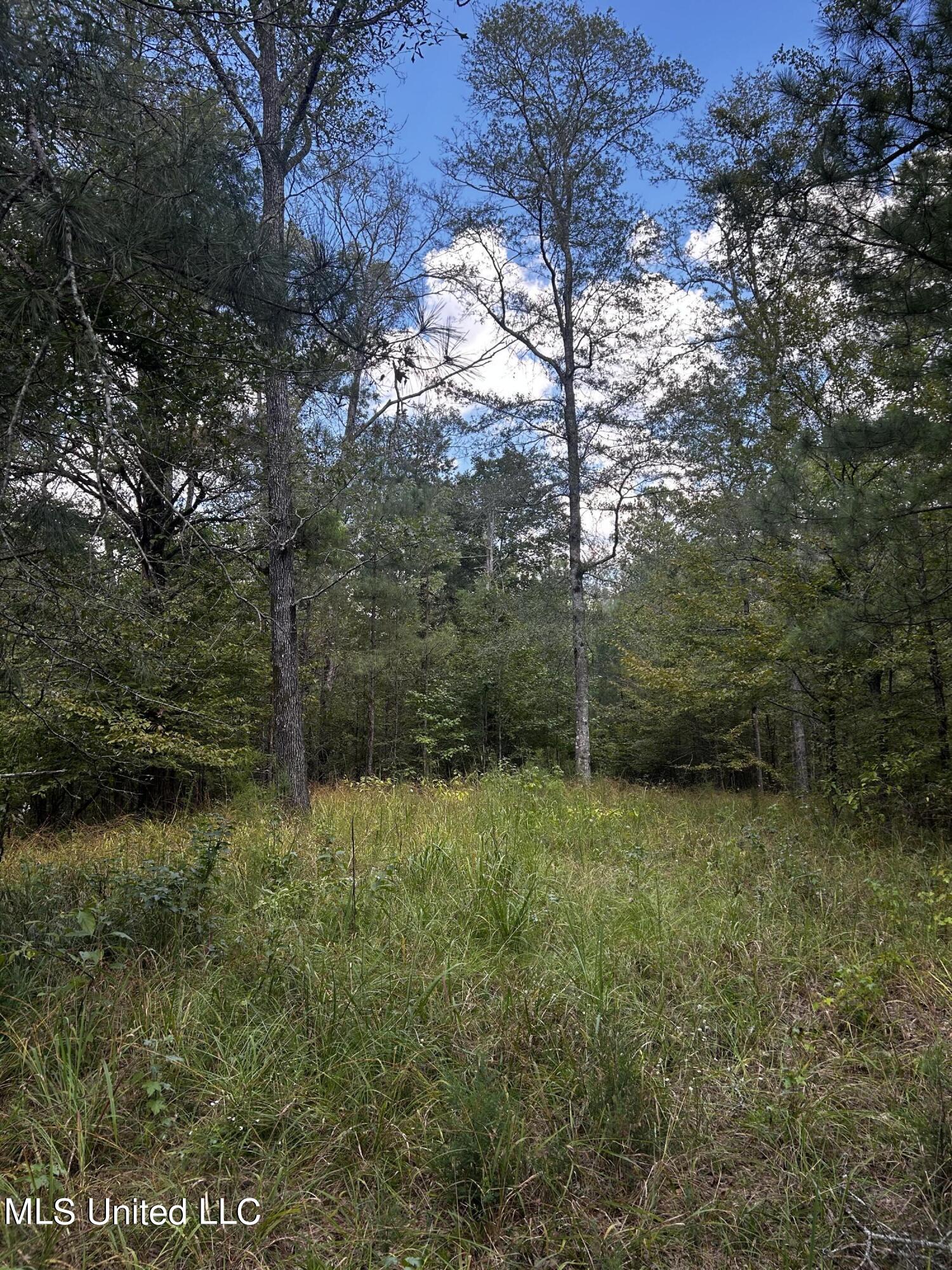 0 Jack Road Utica, MS 39175 - Photo 22 of 25 IMG_1756