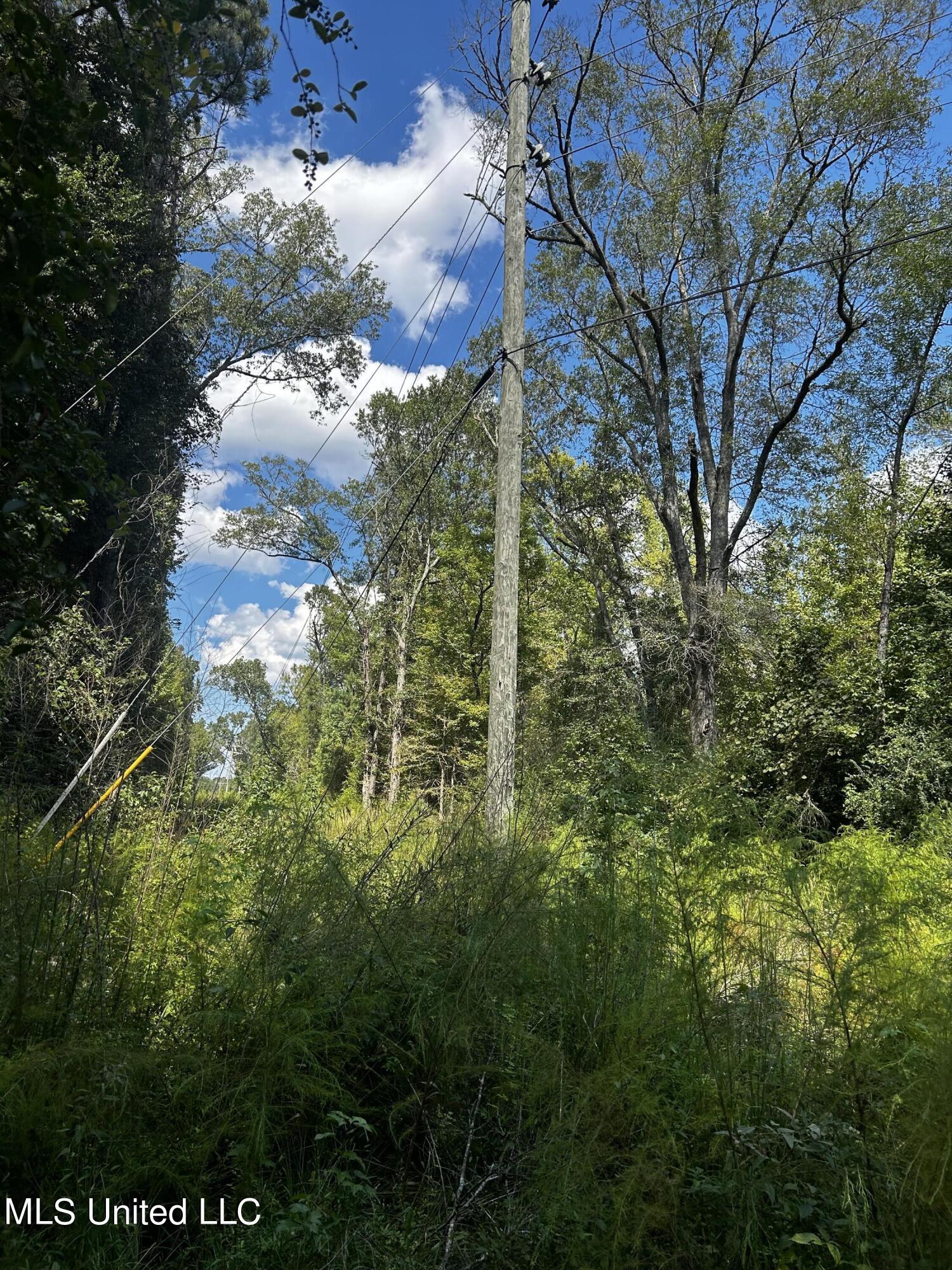 0 Jack Road Utica, MS 39175 - Photo 23 of 25 IMG_1757
