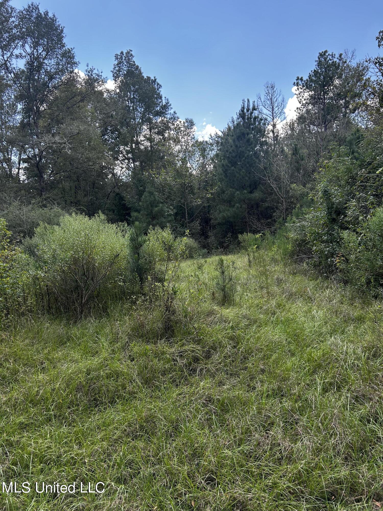 0 Jack Road Utica, MS 39175 - Photo 25 of 25 IMG_1759