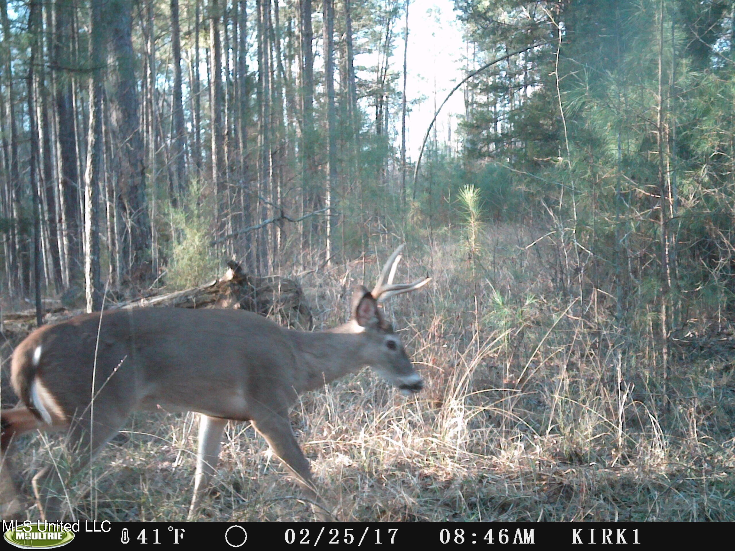 0 Jack Road Utica, MS 39175 - Photo 3 of 25 IMG_0017