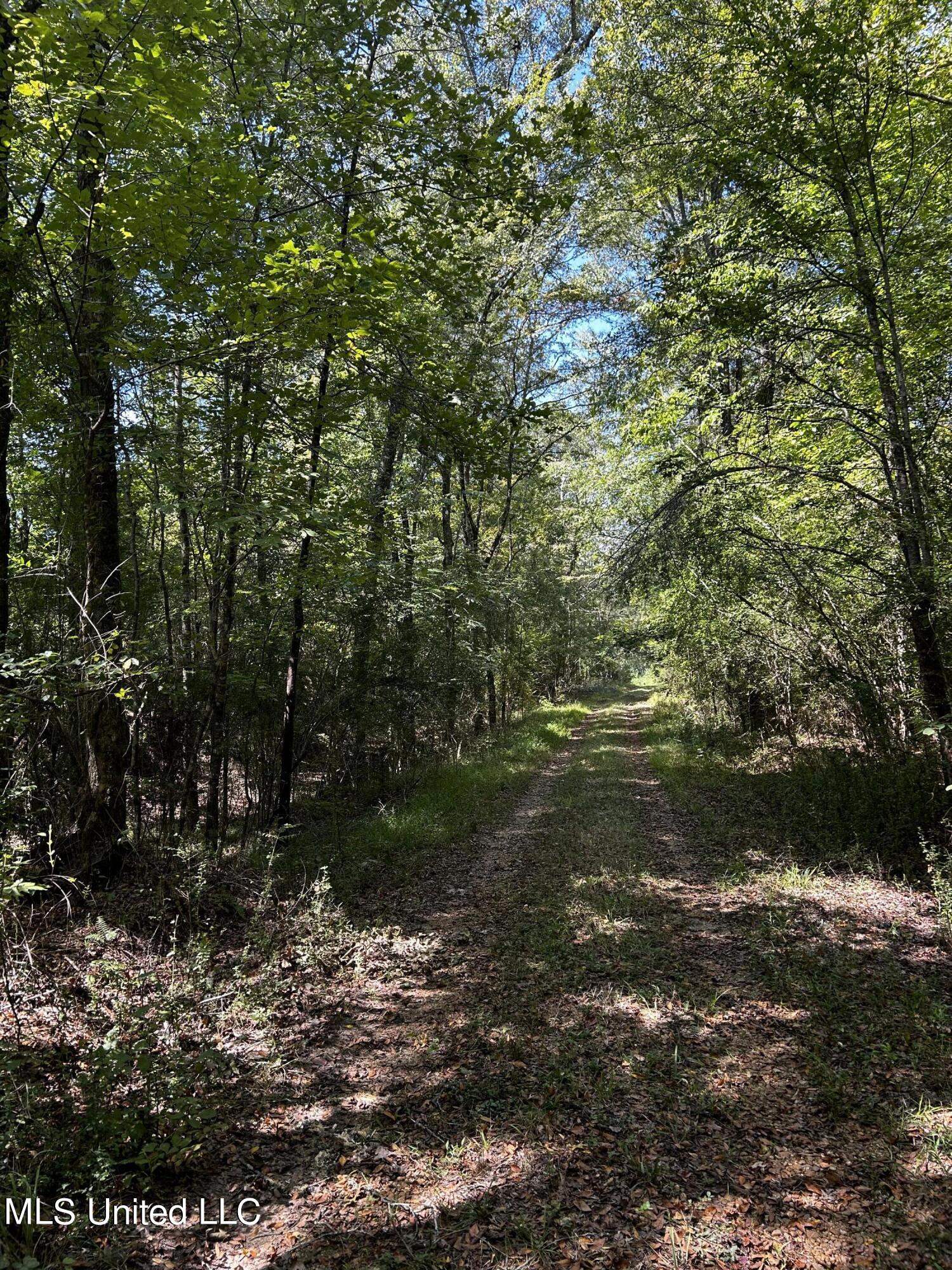 0 Jack Road Utica, MS 39175 - Photo 7 of 25 IMG_1737