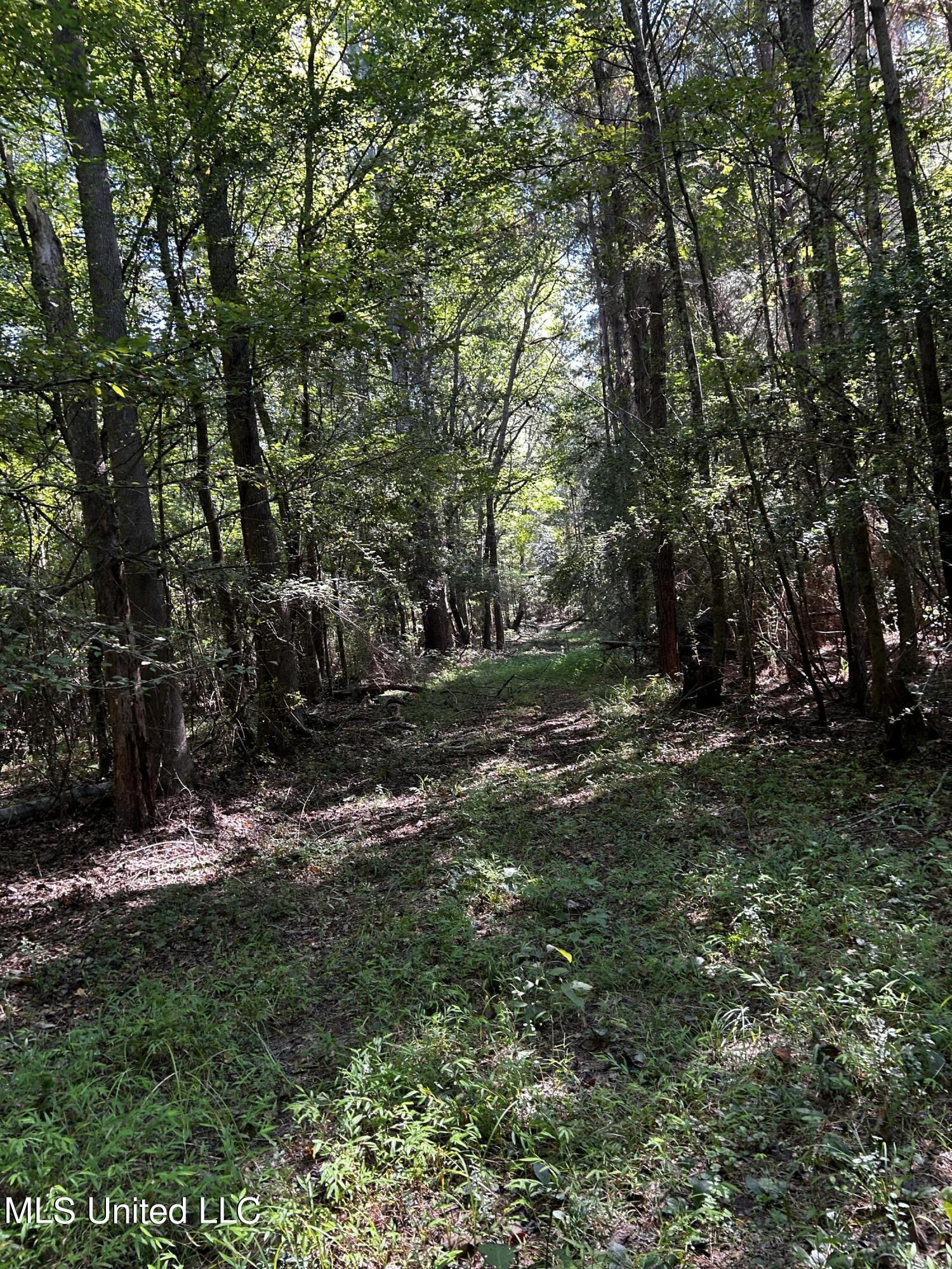 0 Jack Road Utica, MS 39175 - Photo 9 of 25 IMG_1734