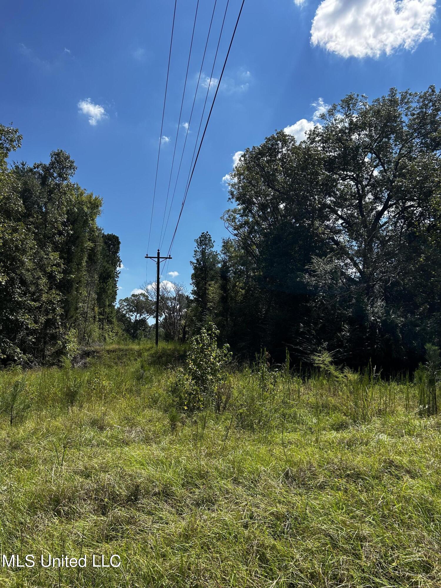 0 Jack Road Utica, MS 39175 - Photo 10 of 25 IMG_1739