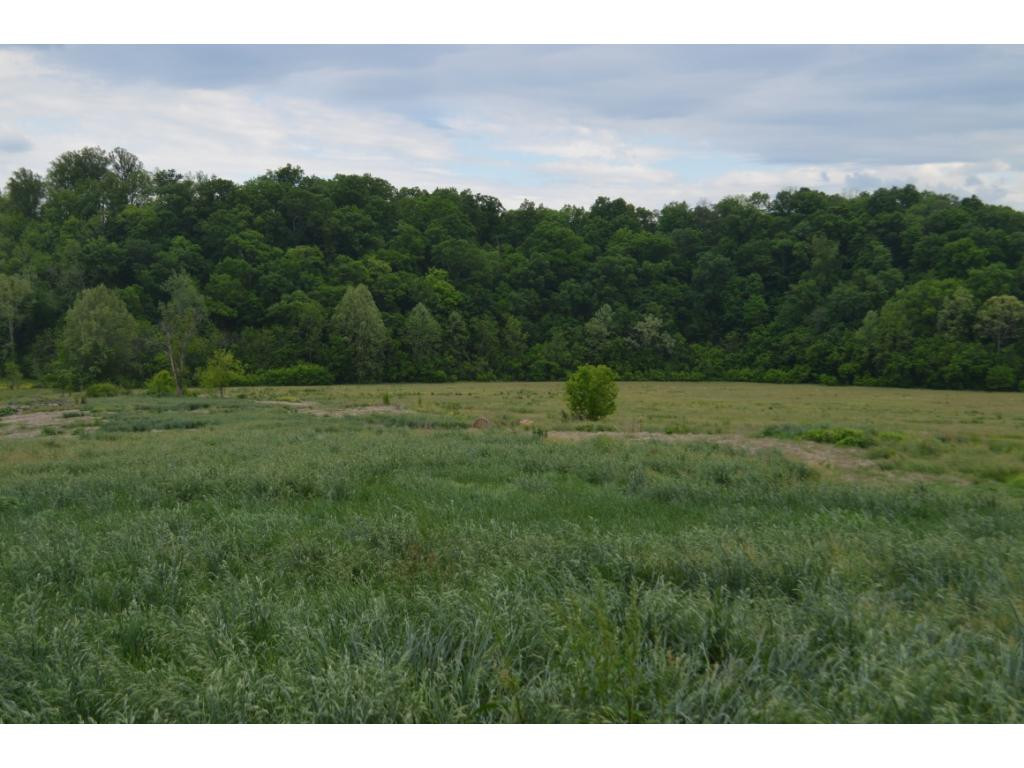 0 Flatwoods Road Greeneville, TN 37745 - Photo 6 of 10 Photo 6