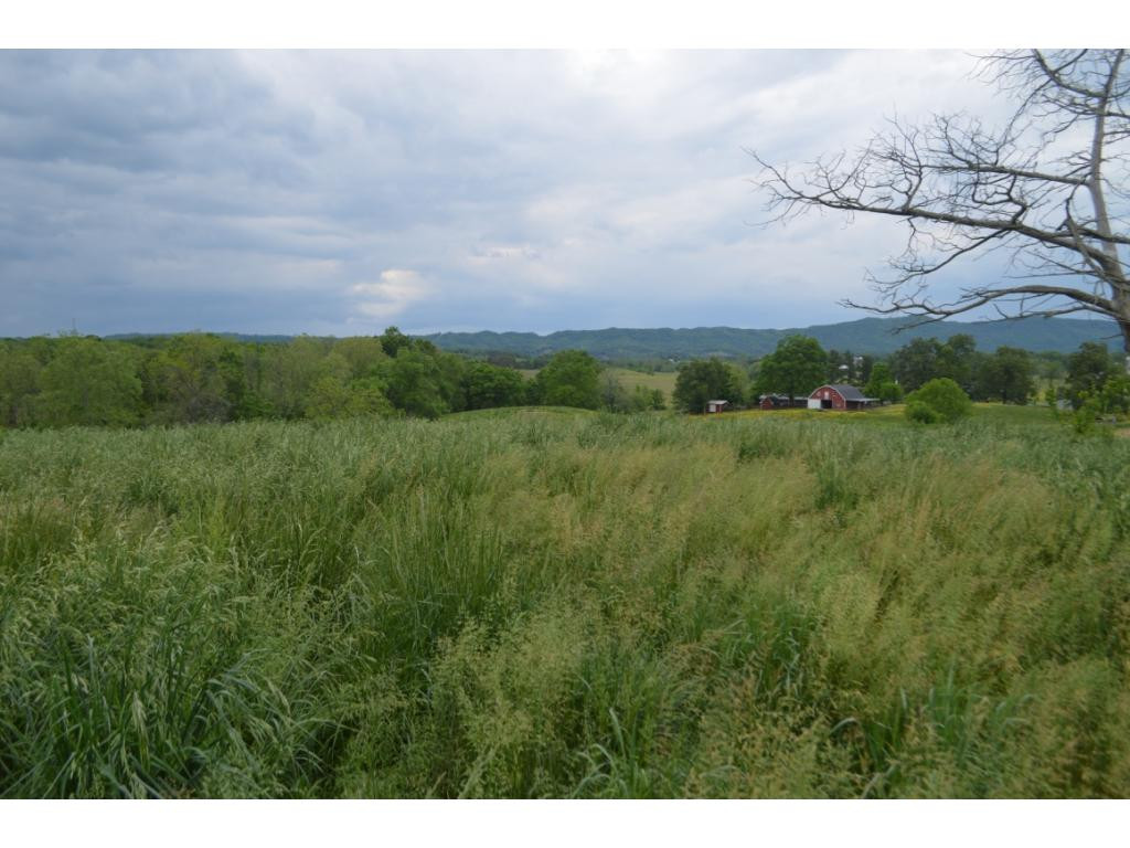 0 Flatwoods Road Greeneville, TN 37745 - Photo 8 of 10 Photo 8