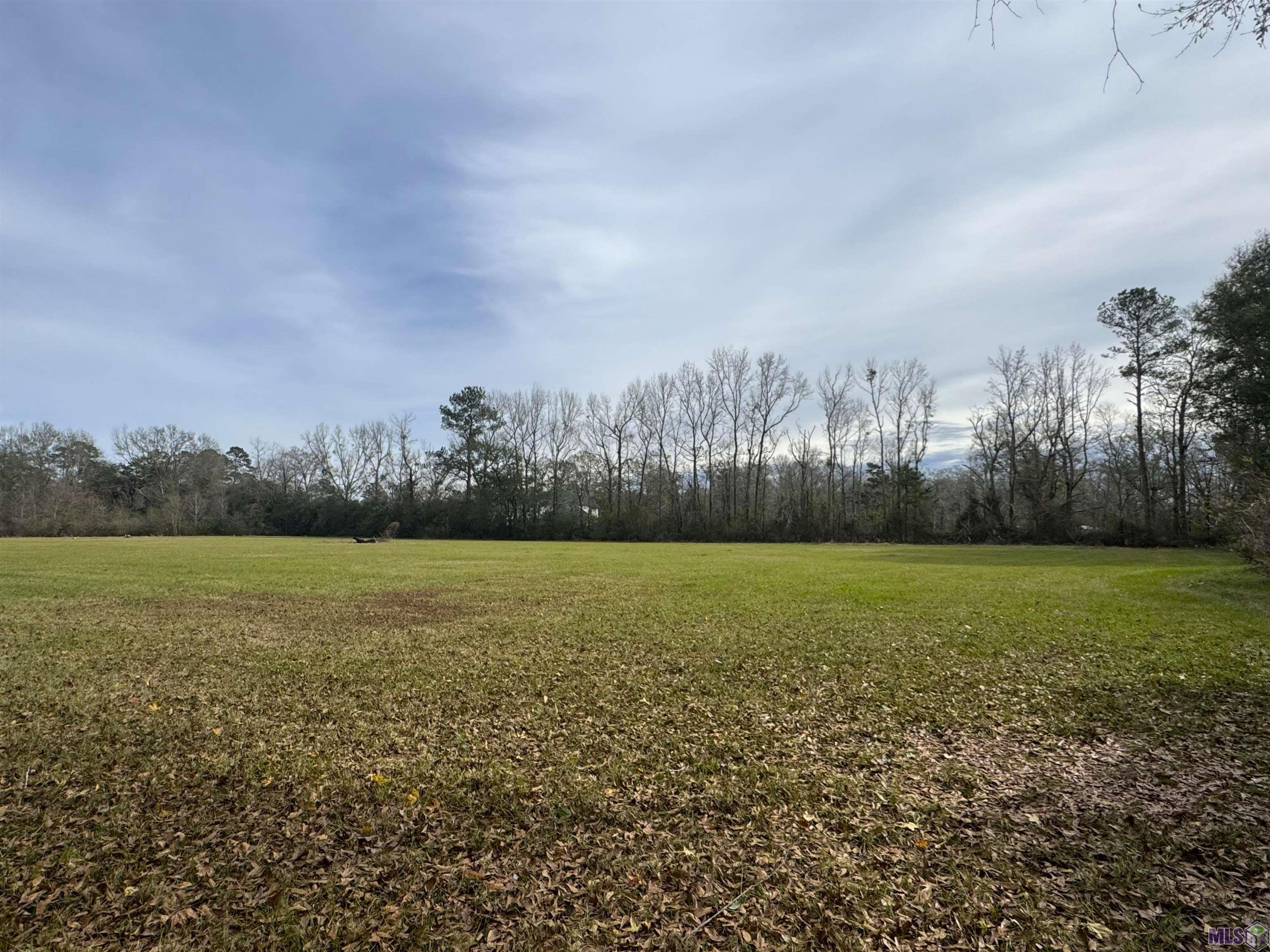 Lm-2-a-1-c Ruby Moore Road Denham Springs, LA 70706 - Photo 4 of 5 Gallery Image 4