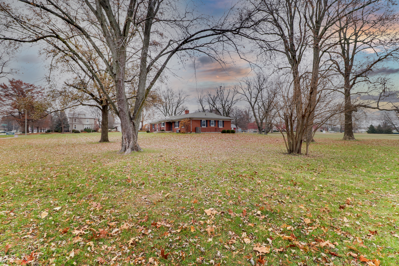 900 Beech Street Normal, IL 61761 - Photo 16 of 36 a view of a yard with some trees