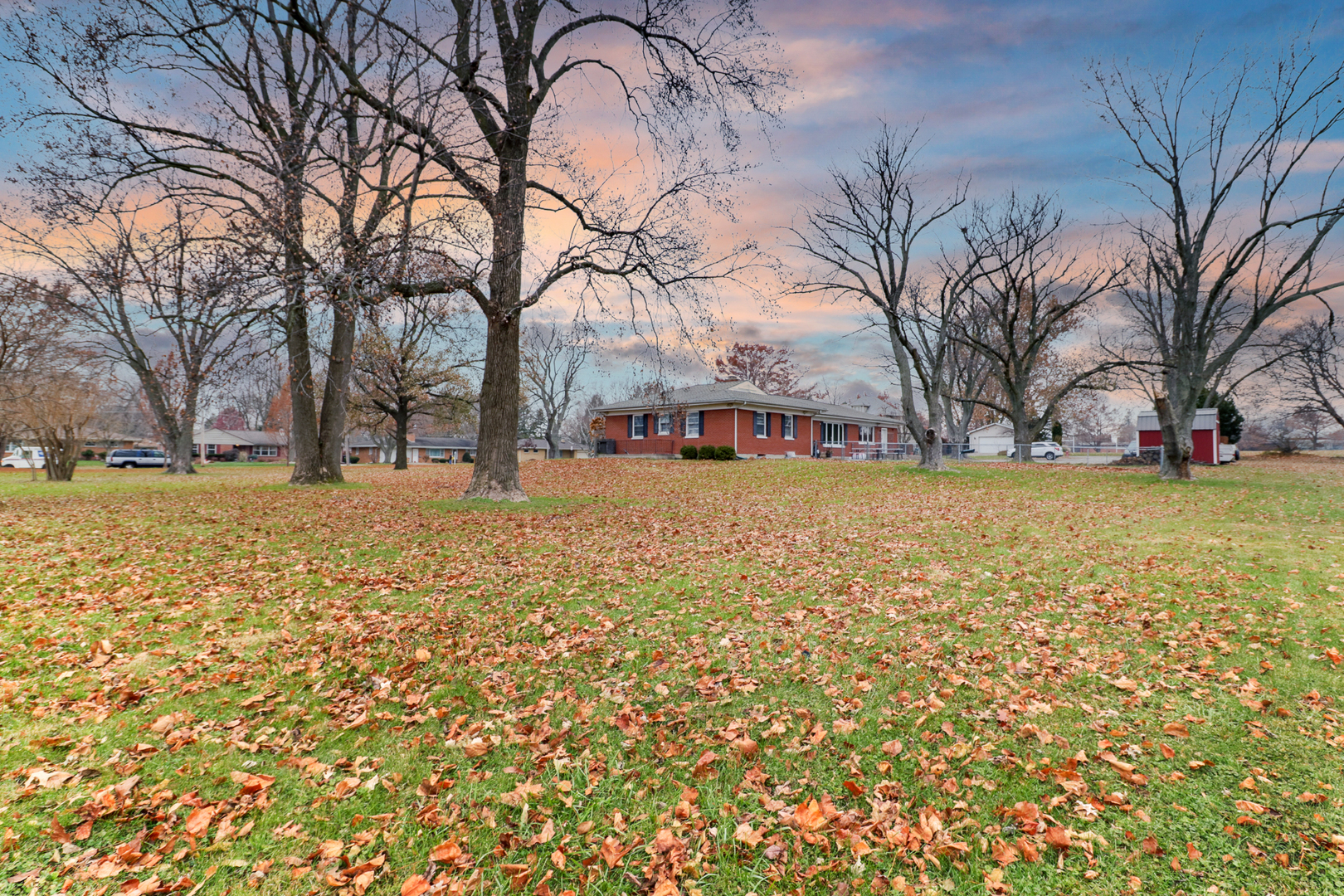 900 Beech Street Normal, IL 61761 - Photo 10 of 36 a view of a yard with a tree