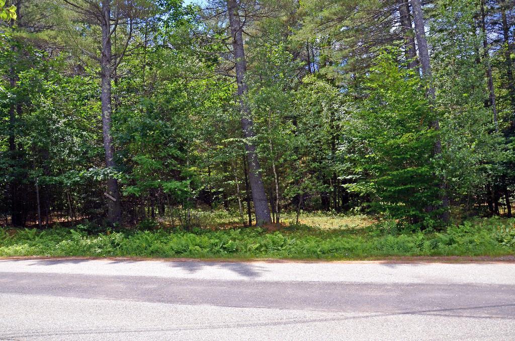 Lot 47 Parsons Road Norway, ME 04268 - Photo 3 of 7 Photo