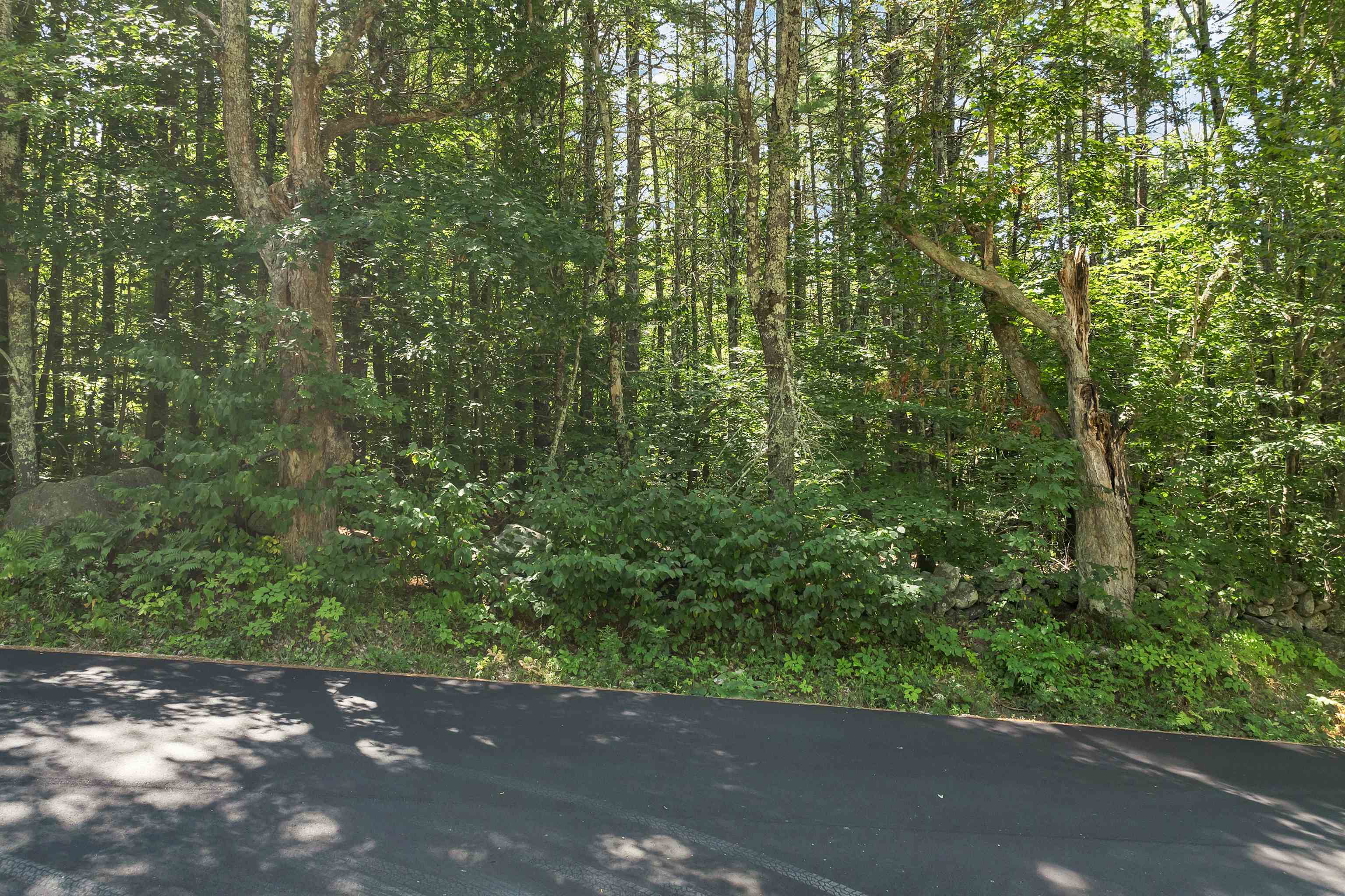 0 Bay Hill Road, Unit 5 Alton, NH 03809 - Photo 5 of 13