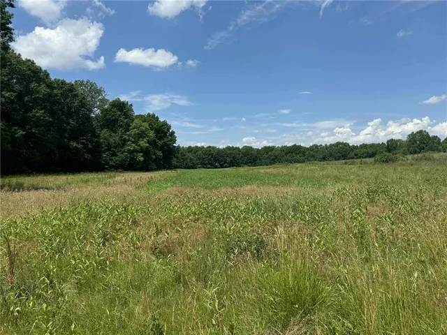 $1,490,000 | 23145 County Road 151, Norborne, MO 64668