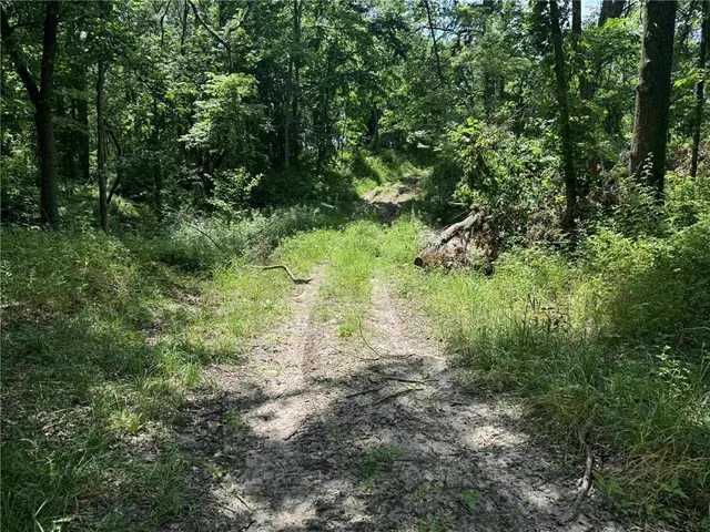 $1,490,000 | 23145 County Road 151, Norborne, MO 64668