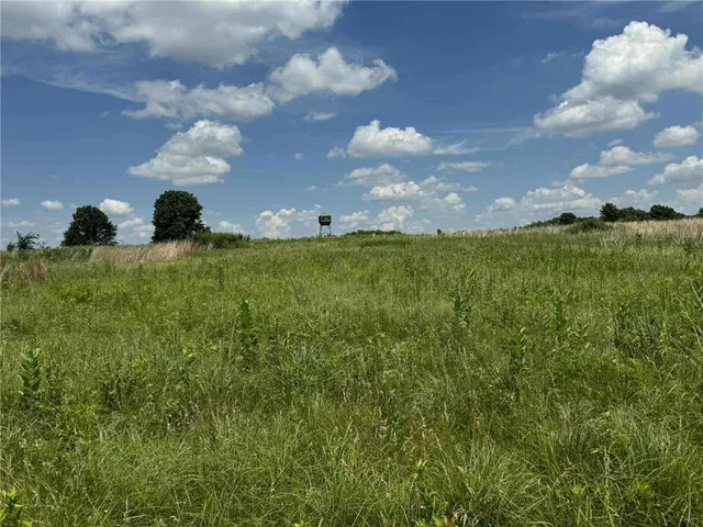 $1,490,000 | 23145 County Road 151, Norborne, MO 64668