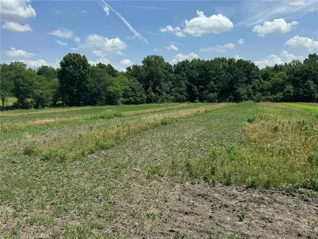 $1,490,000 | 23145 County Road 151, Norborne, MO 64668