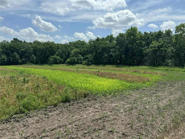 $1,490,000 | 23145 County Road 151, Norborne, MO 64668