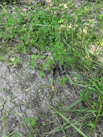 $1,490,000 | 23145 County Road 151, Norborne, MO 64668