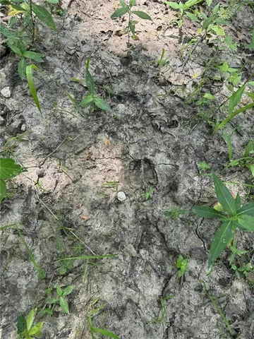 $1,490,000 | 23145 County Road 151, Norborne, MO 64668