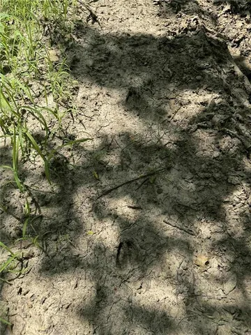 $1,490,000 | 23145 County Road 151, Norborne, MO 64668