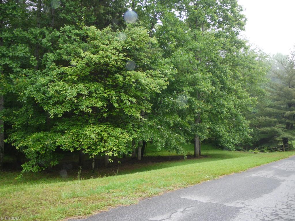5000 Leadenhall Road Oak Ridge, NC 27310 - Photo 3 of 9