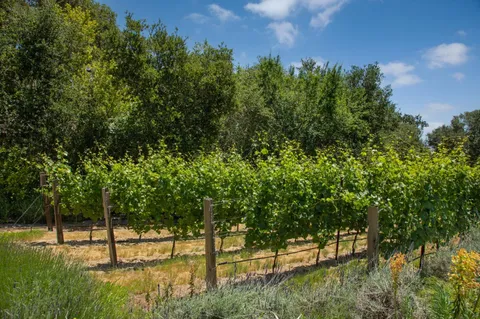 a view of backyard of house with green space