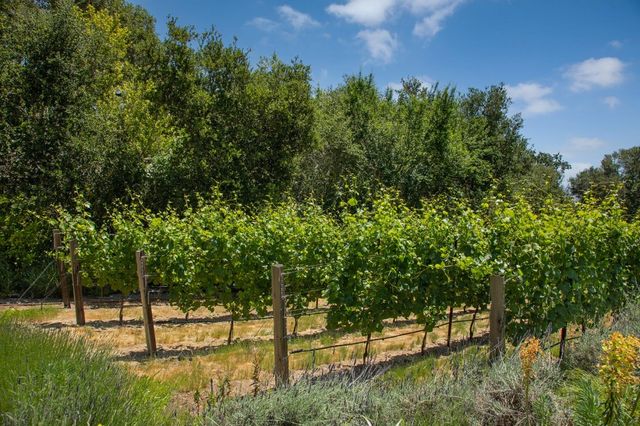 a view of backyard of house with green space
