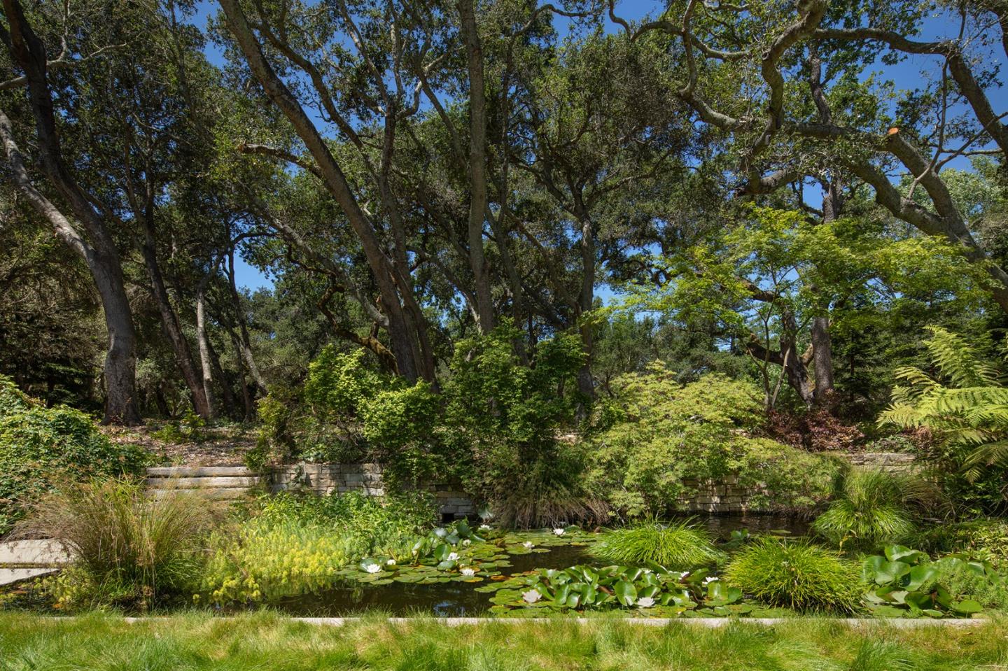 211 Winding Way Woodside, CA 94062 - Photo 31 of 32 a view of backyard of house with green space