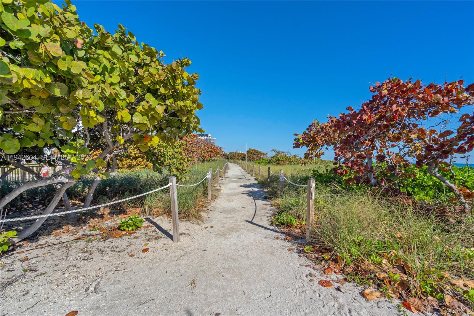 9273 Collins Avenue, Unit 503 Surfside, FL 33154 - Photo 33 of 48 a backyard of a house with lots of green space
