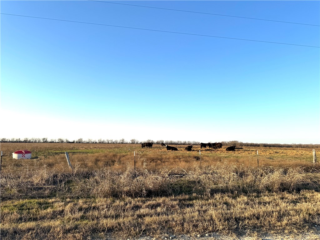 151 Rd Riesel Tx 76682 Road Riesel, TX 76682 - Photo 3 of 9