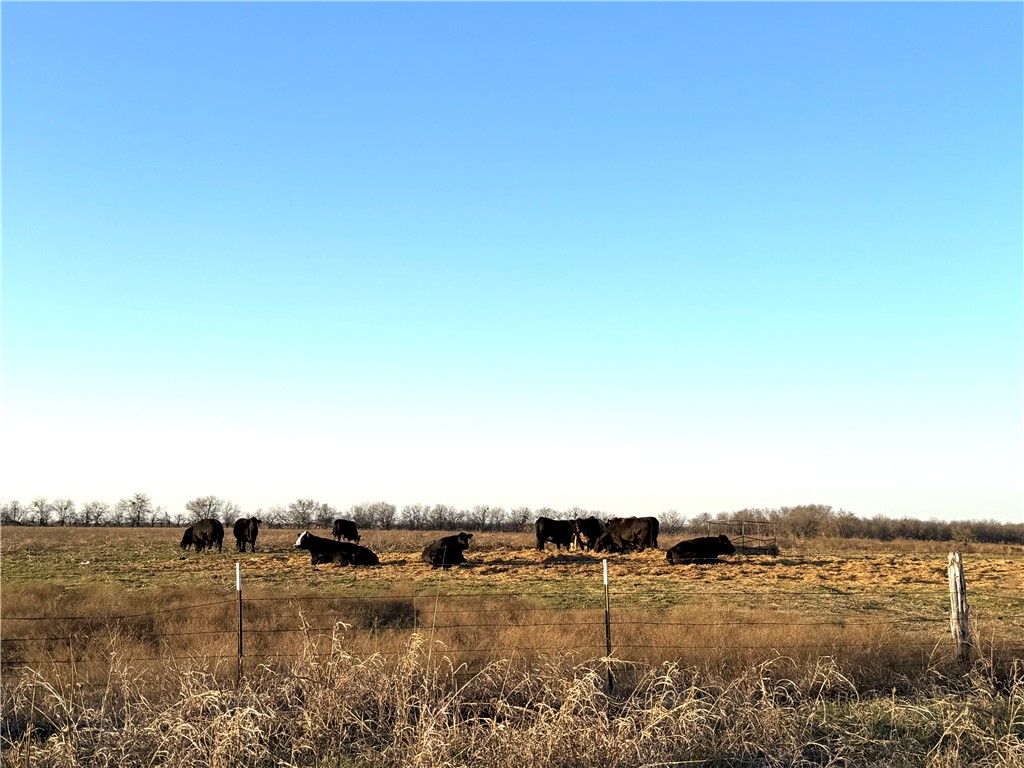 151 Rd Riesel Tx 76682 Road Riesel, TX 76682 - Photo 4 of 9