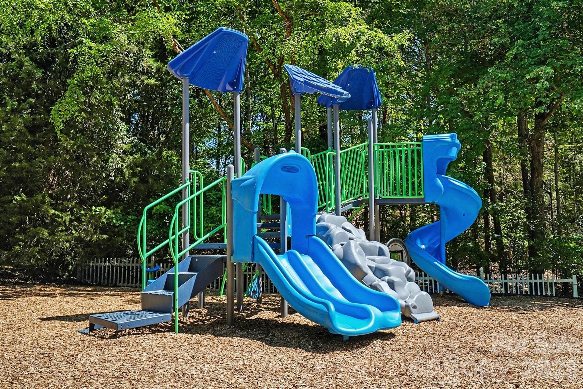 204 Mills Lane Fort Mill, SC 29708 - Photo 40 of 43