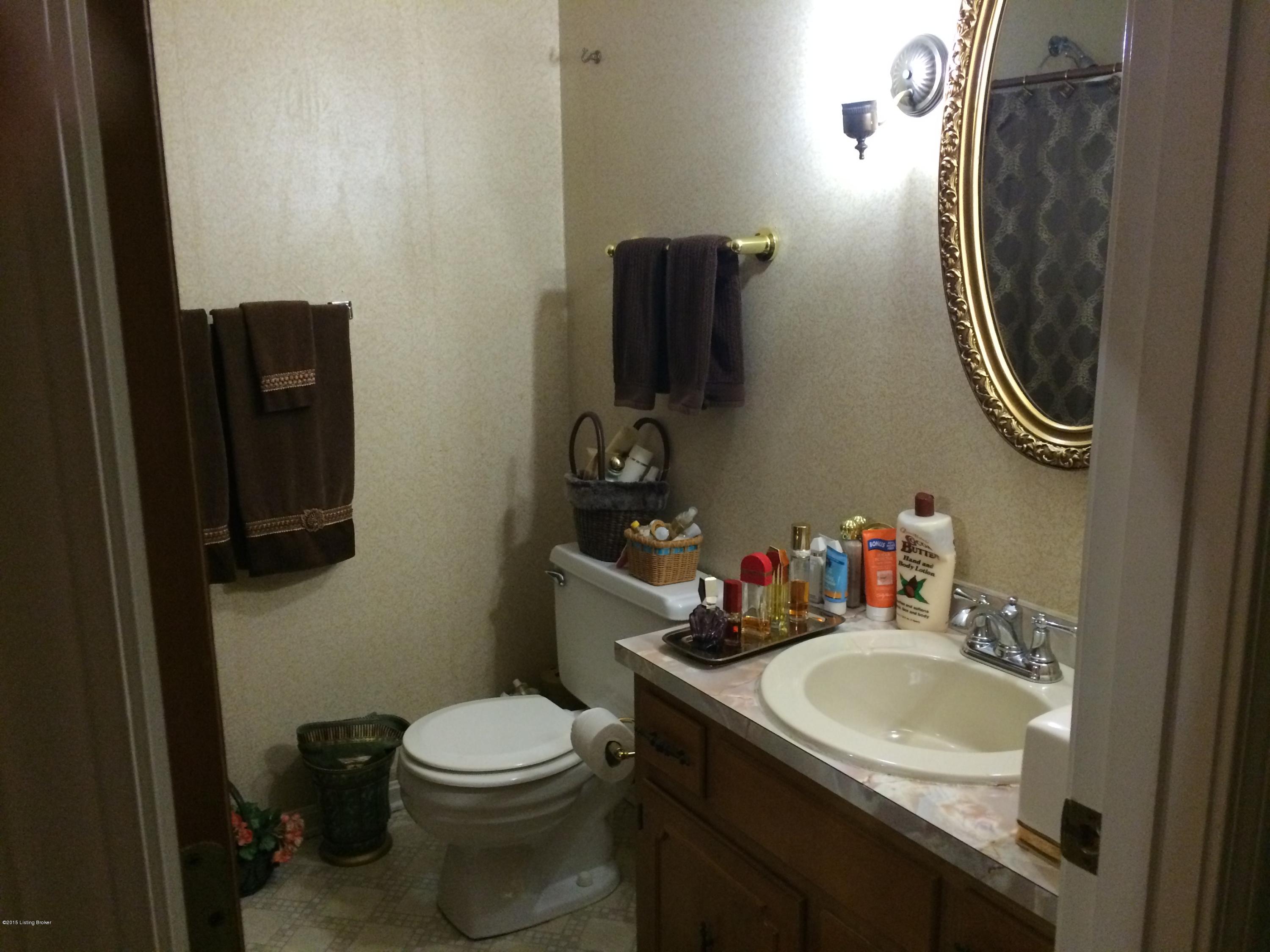 3008 Winterhaven Road Louisville, KY 40220 - Photo 13 of 23 Bath 2 (1)