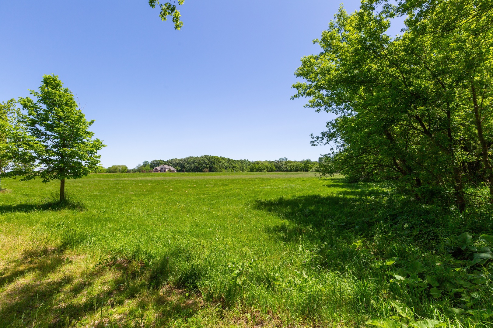 9618 Emily Lane Union, IL 60180 - Photo 14 of 16 a view of a garden with a tree