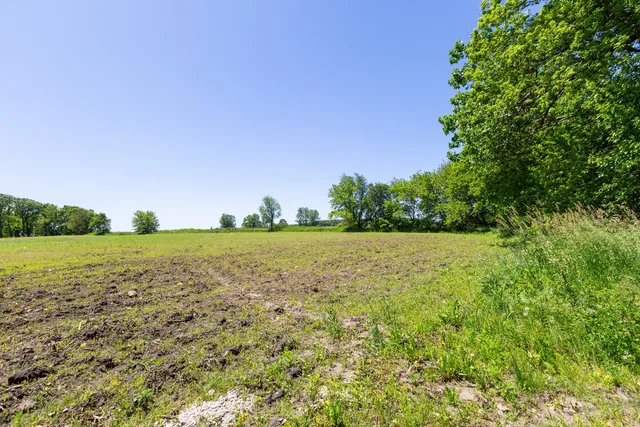 a view of building with yard