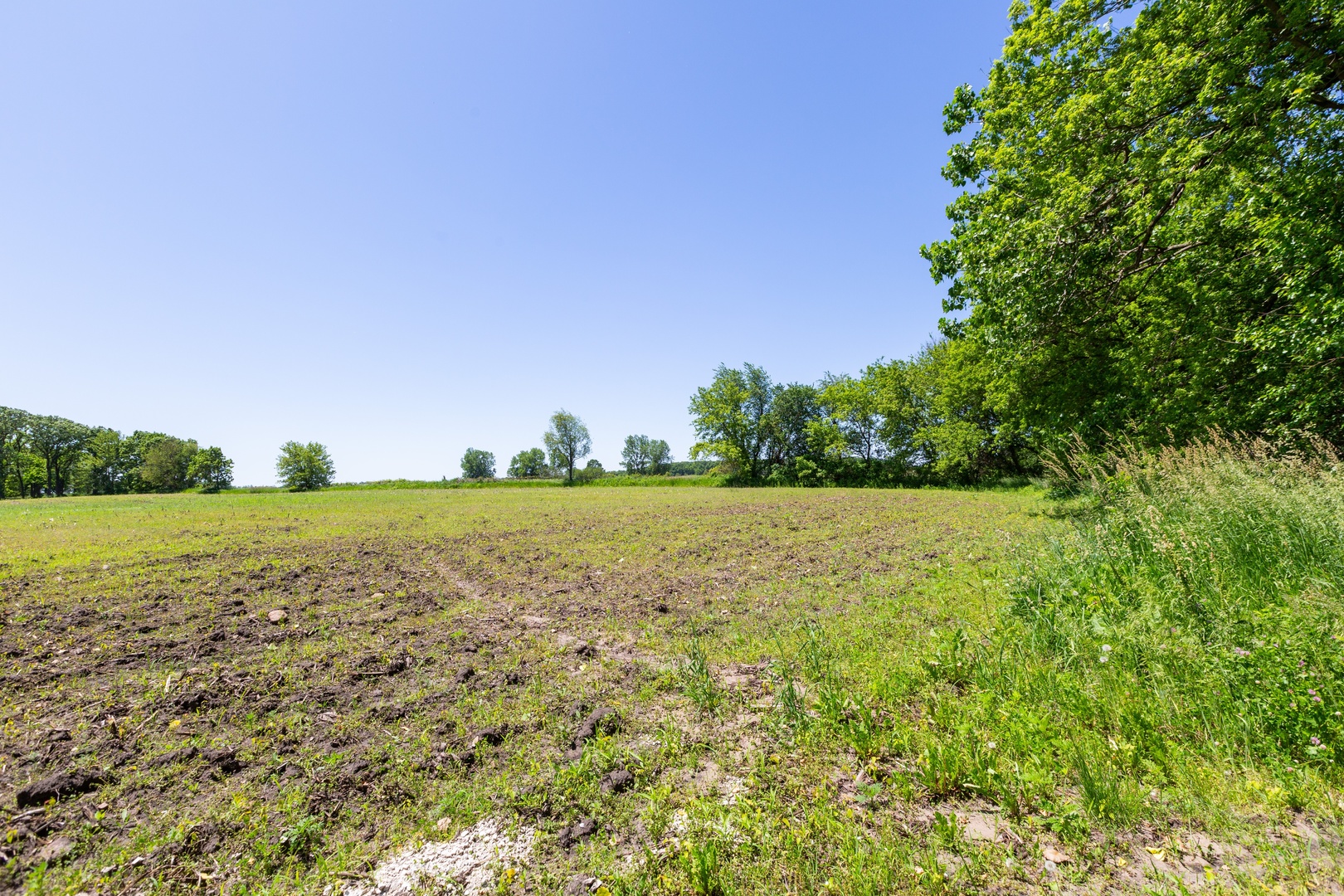 9618 Emily Lane Union, IL 60180 - Photo 15 of 16 a view of building with yard