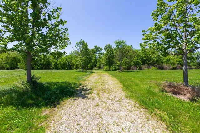 a view of a garden with a tree