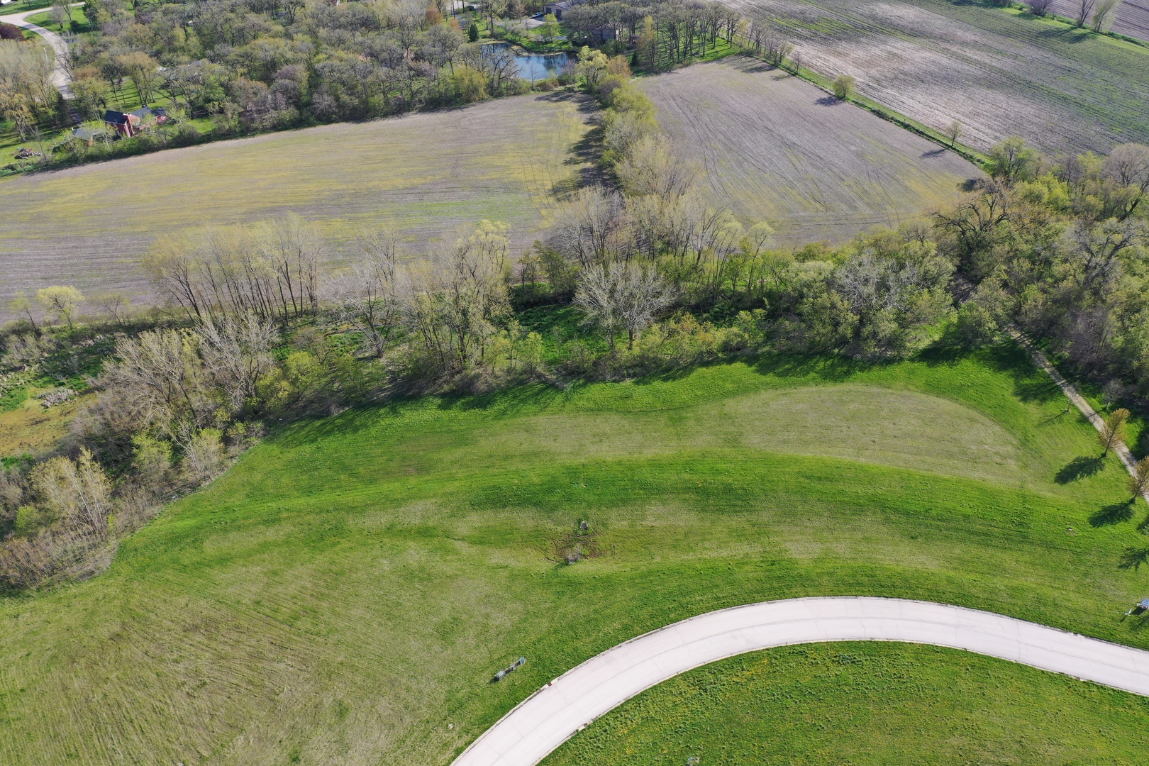9618 Emily Lane Union, IL 60180 - Photo 7 of 16 a view of a field of grass and trees