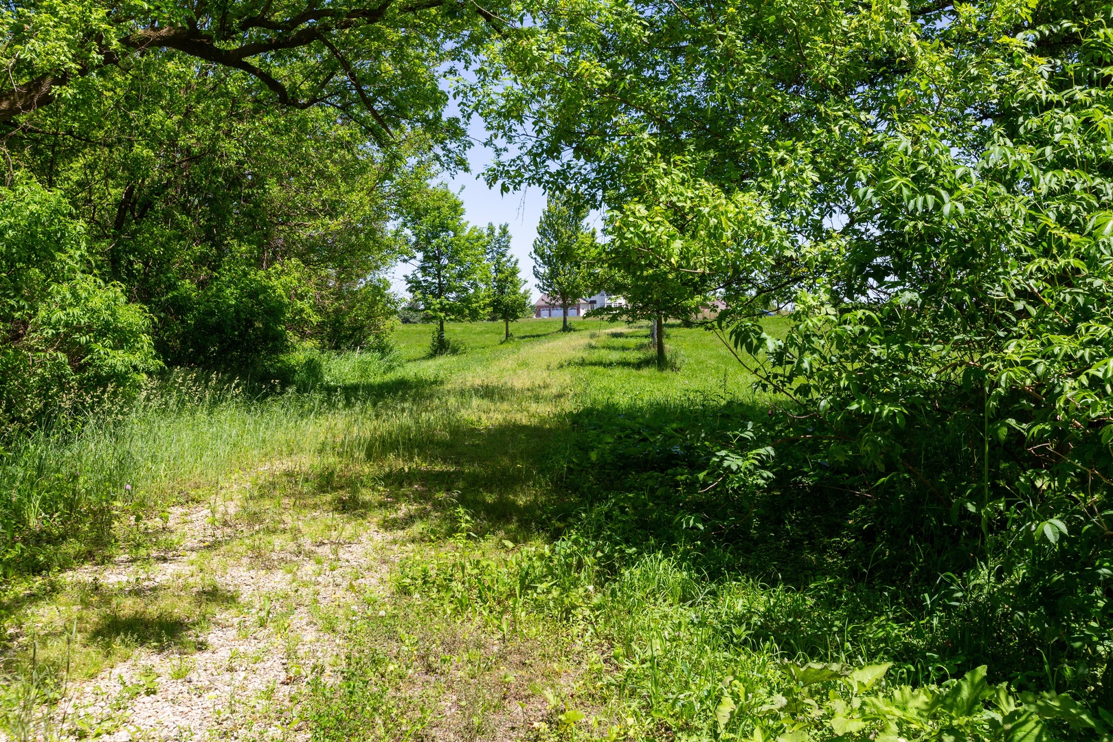 9618 Emily Lane Union, IL 60180 - Photo 10 of 16 a view of a green field with a tree